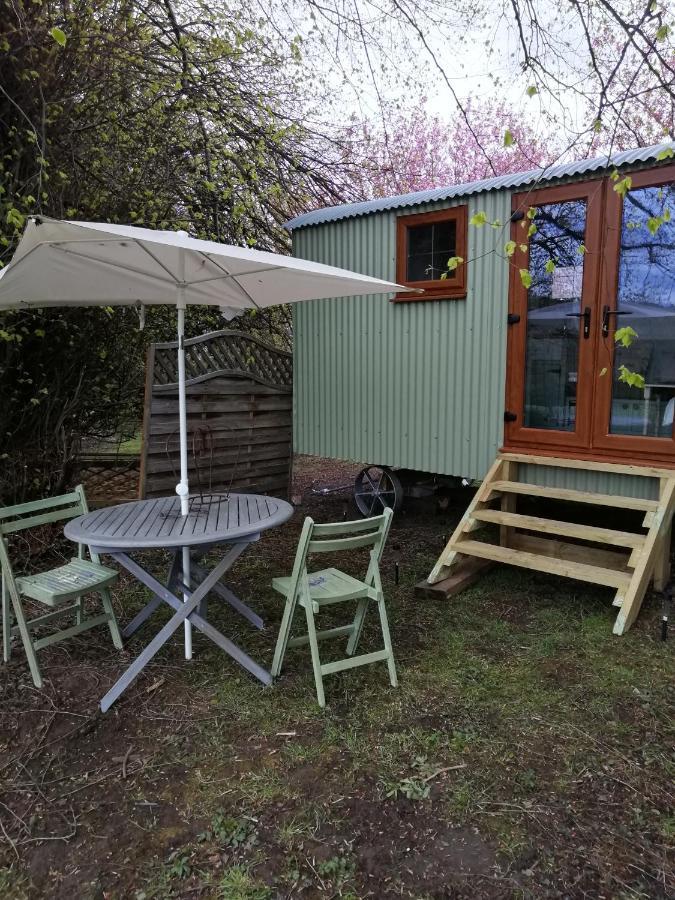 Отель Durham Donkey Rescue Shepherd'S Hut Экстерьер фото