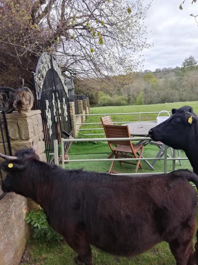Отель Durham Donkey Rescue Shepherd'S Hut Экстерьер фото